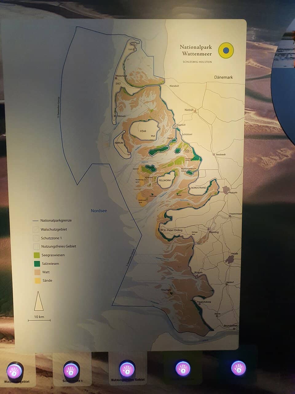 Wadden Sea Excursions