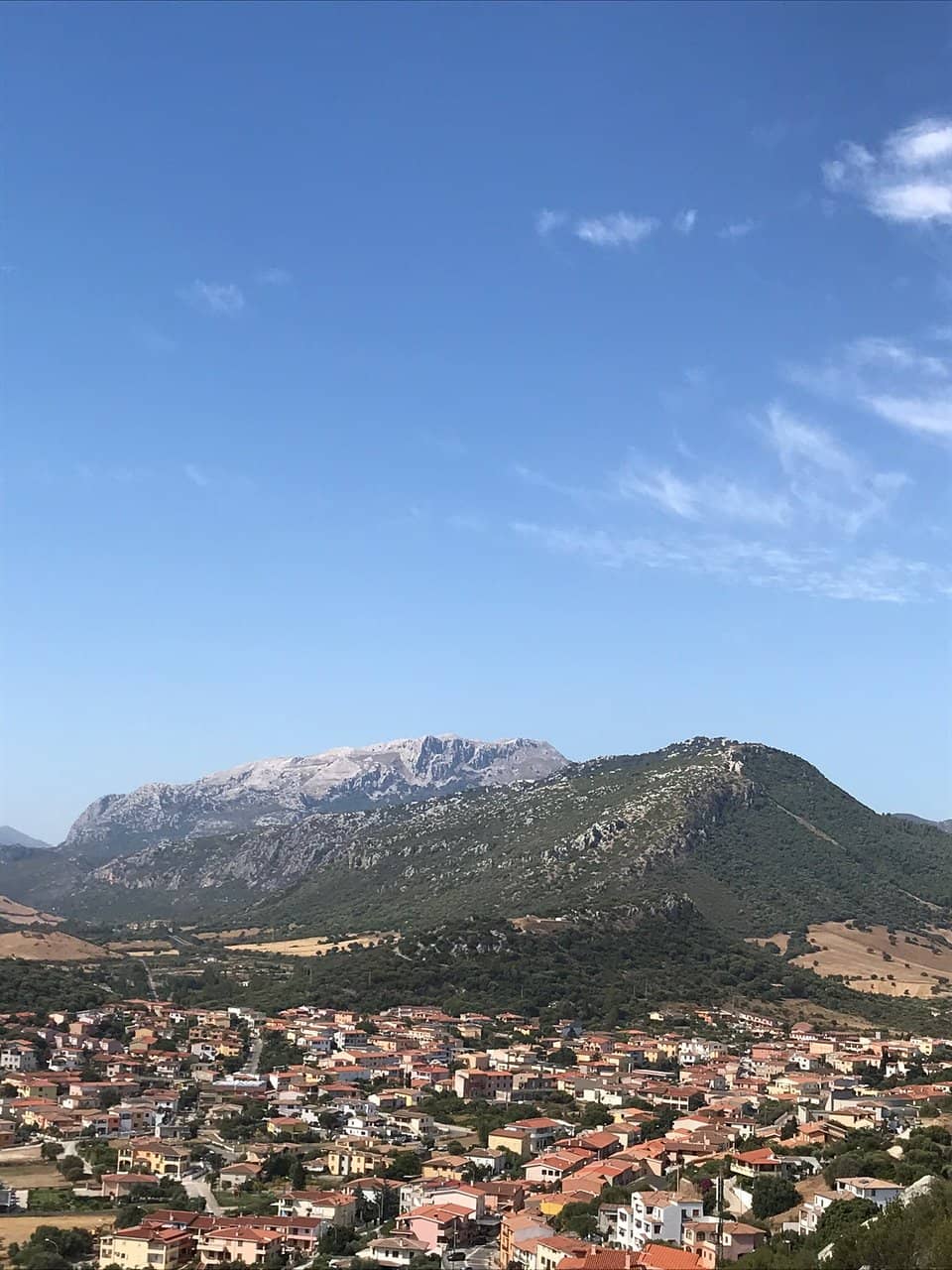 Panoramic Views from the Tower