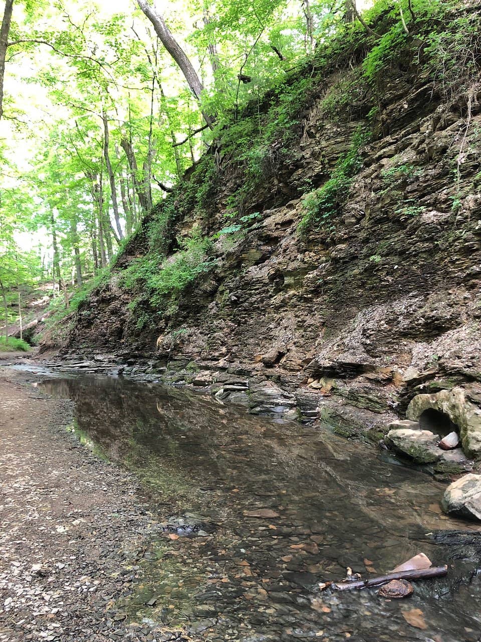 Shale Rock Concretions