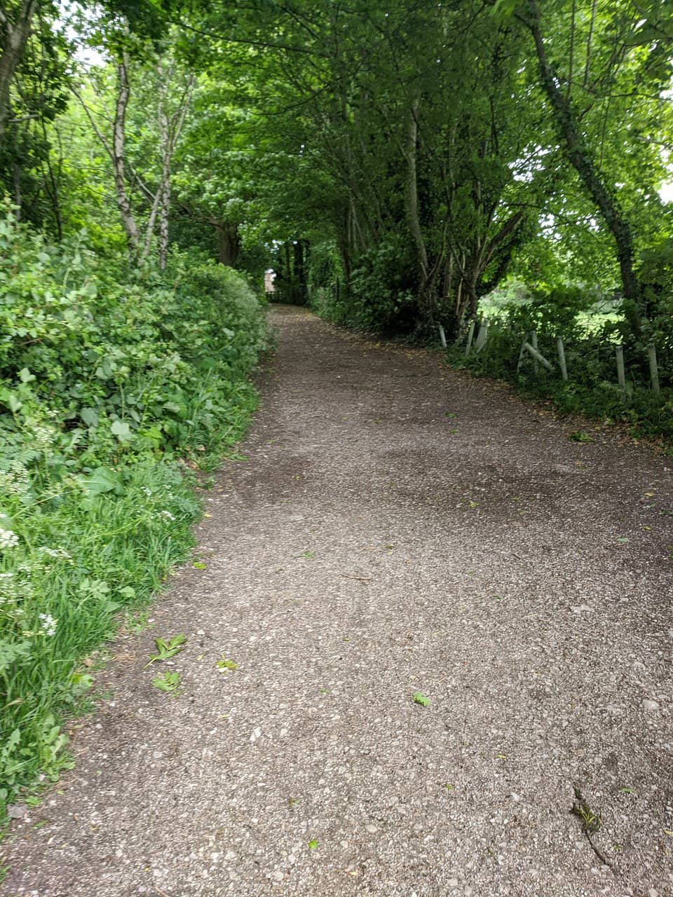 Restored Waterways