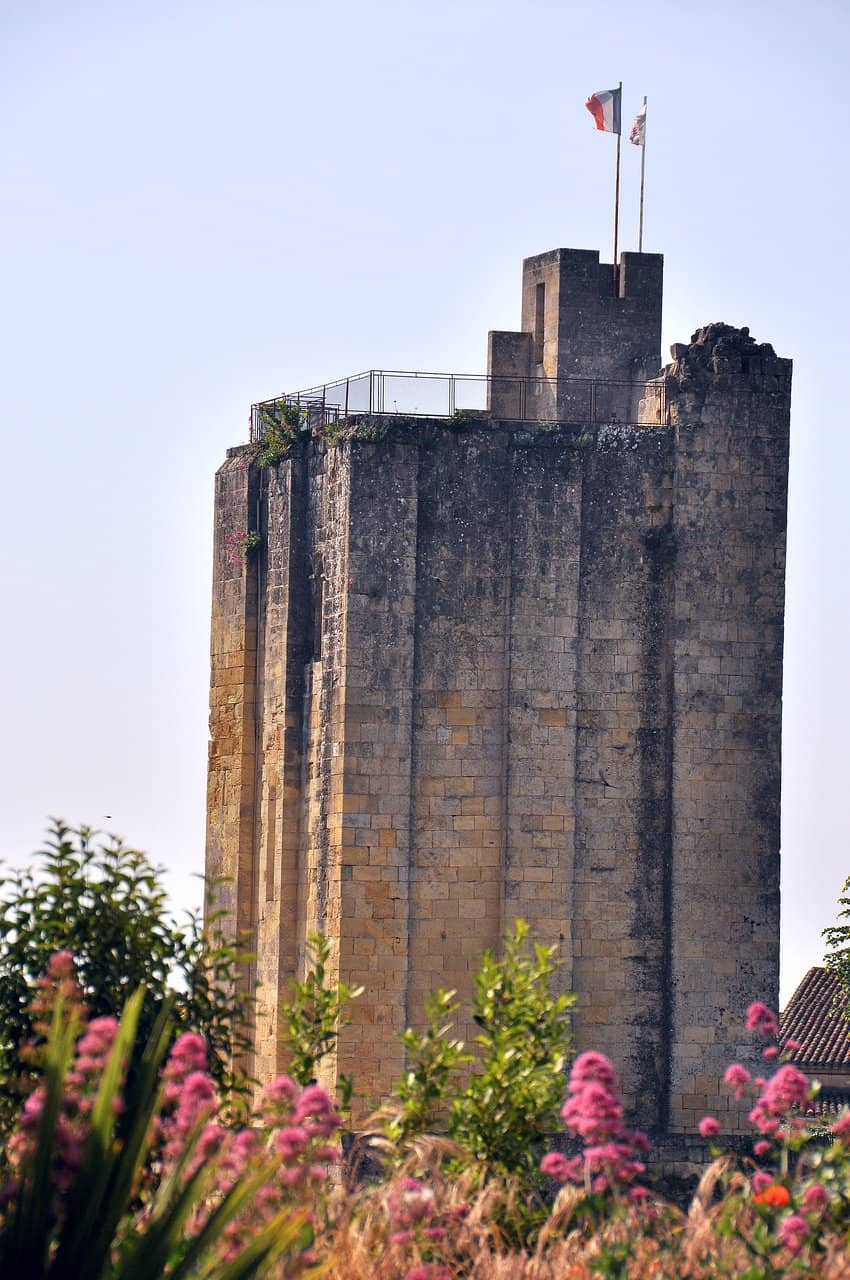 Vertical photo