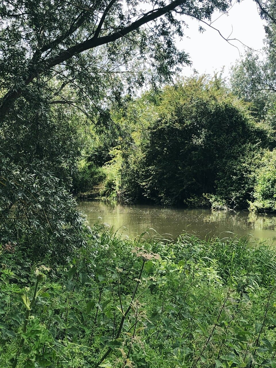 Just a view from the walk along the river