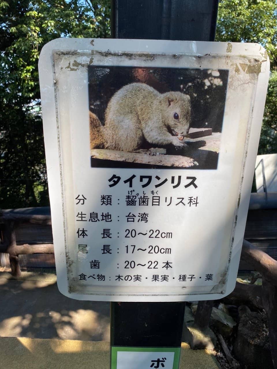 Panoramic City Views