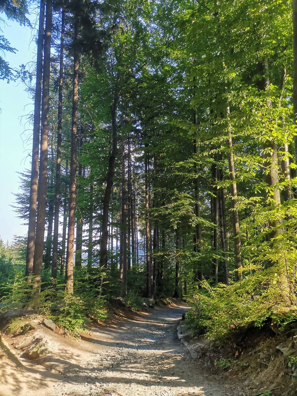 Summit Views & History