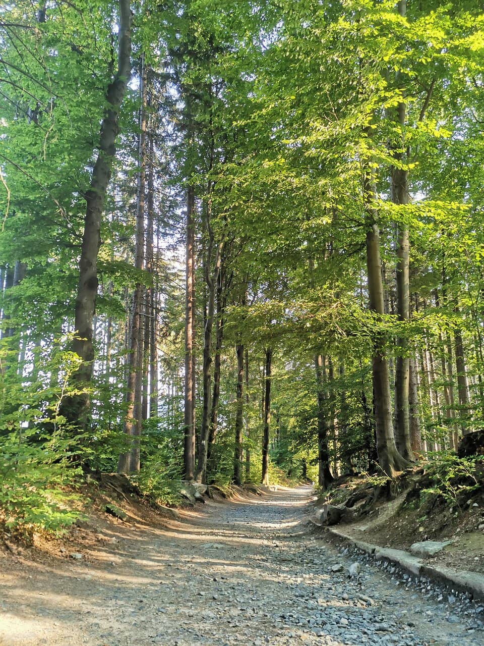 The Yellow Trail Ascent