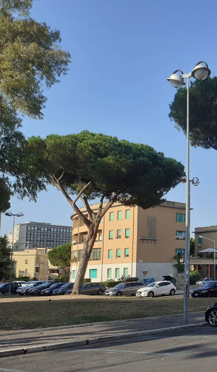 Street Food Festivals