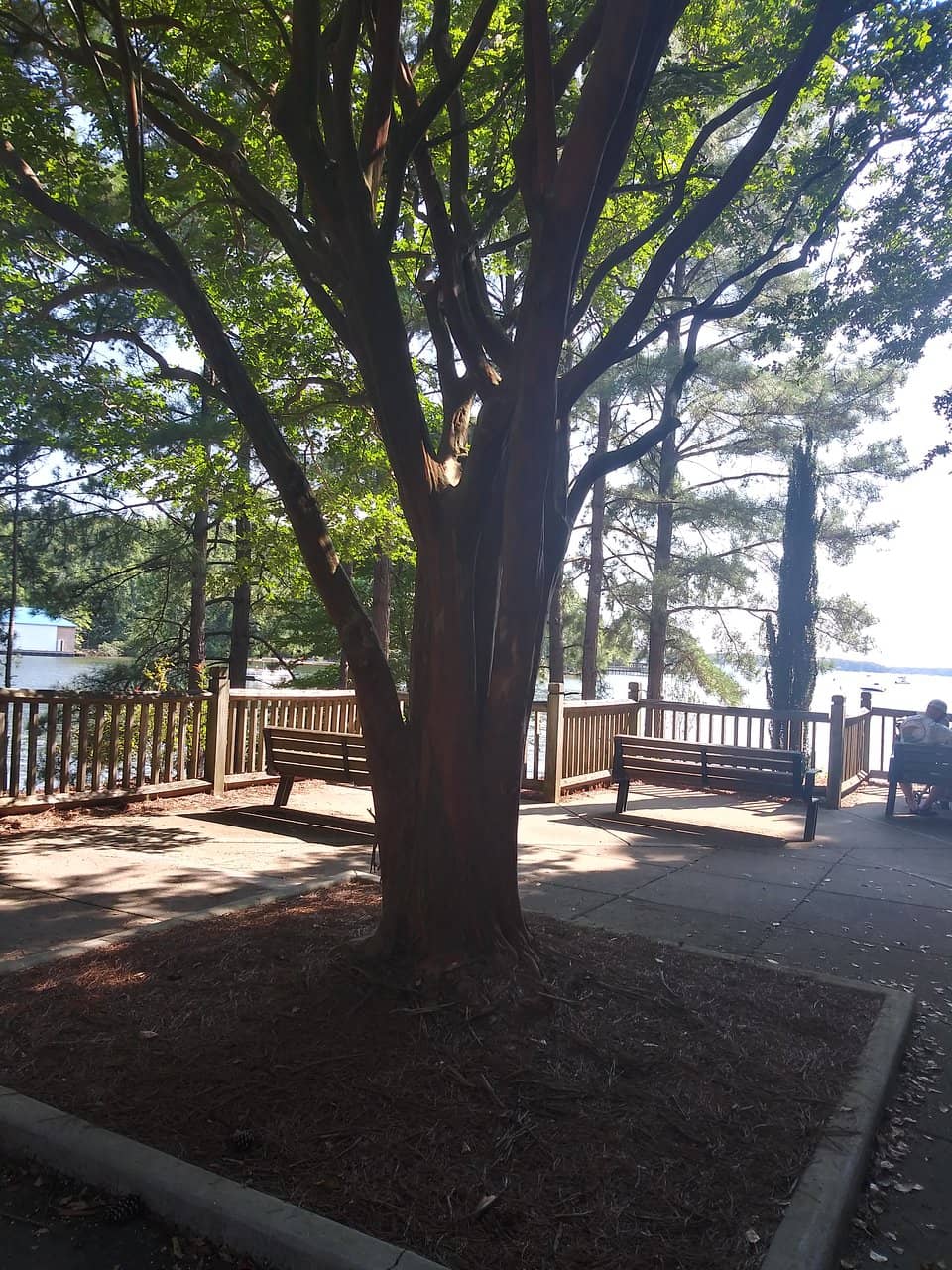 Playgrounds & Picnic Spots