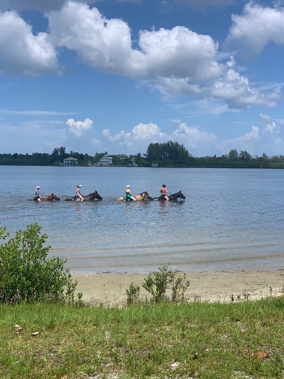 Palma Sola Causeway Park