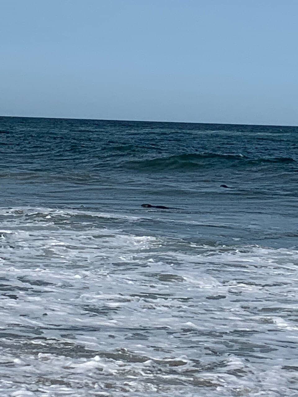 Natural Beauty After Storms