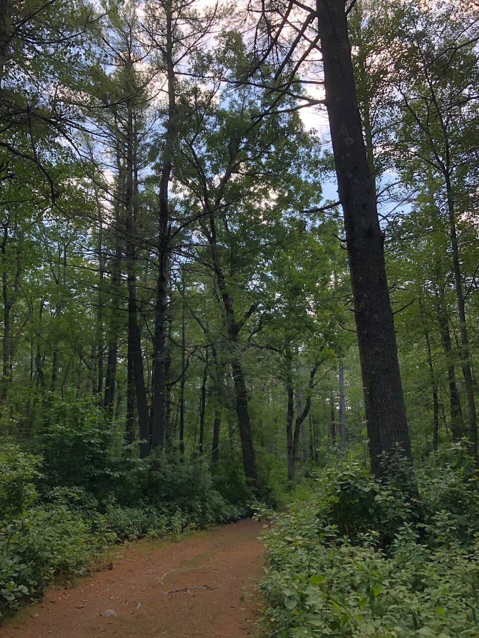 Wading Pool & Picnic Areas