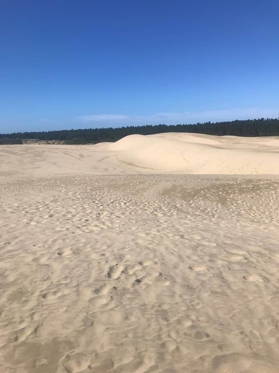 Expansive Sand Dunes