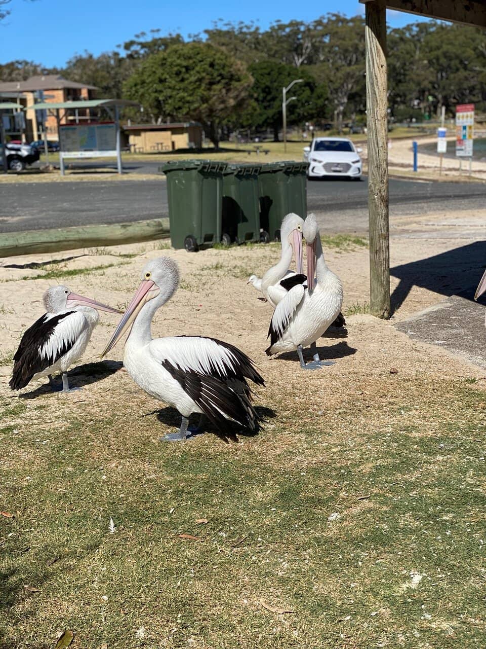 Picnic & Play Area