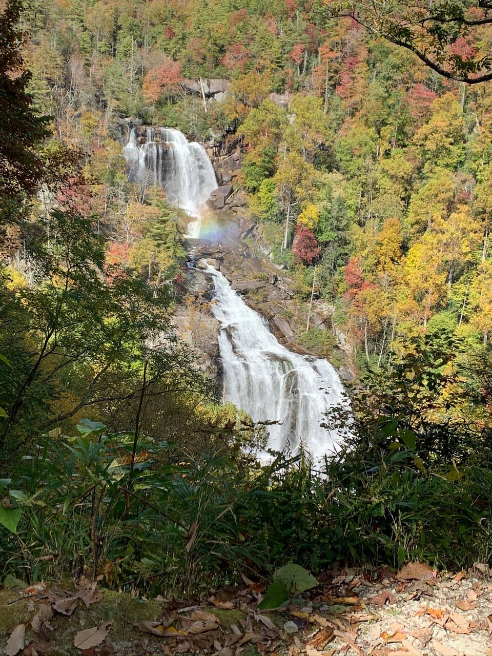 Lower Lookout Views