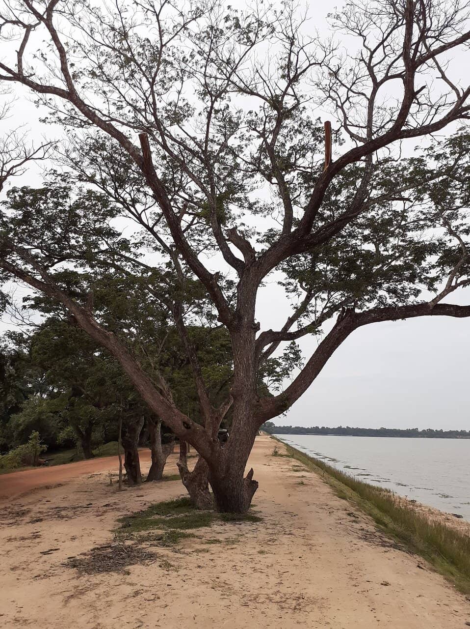 Bathing Beach & Recreation