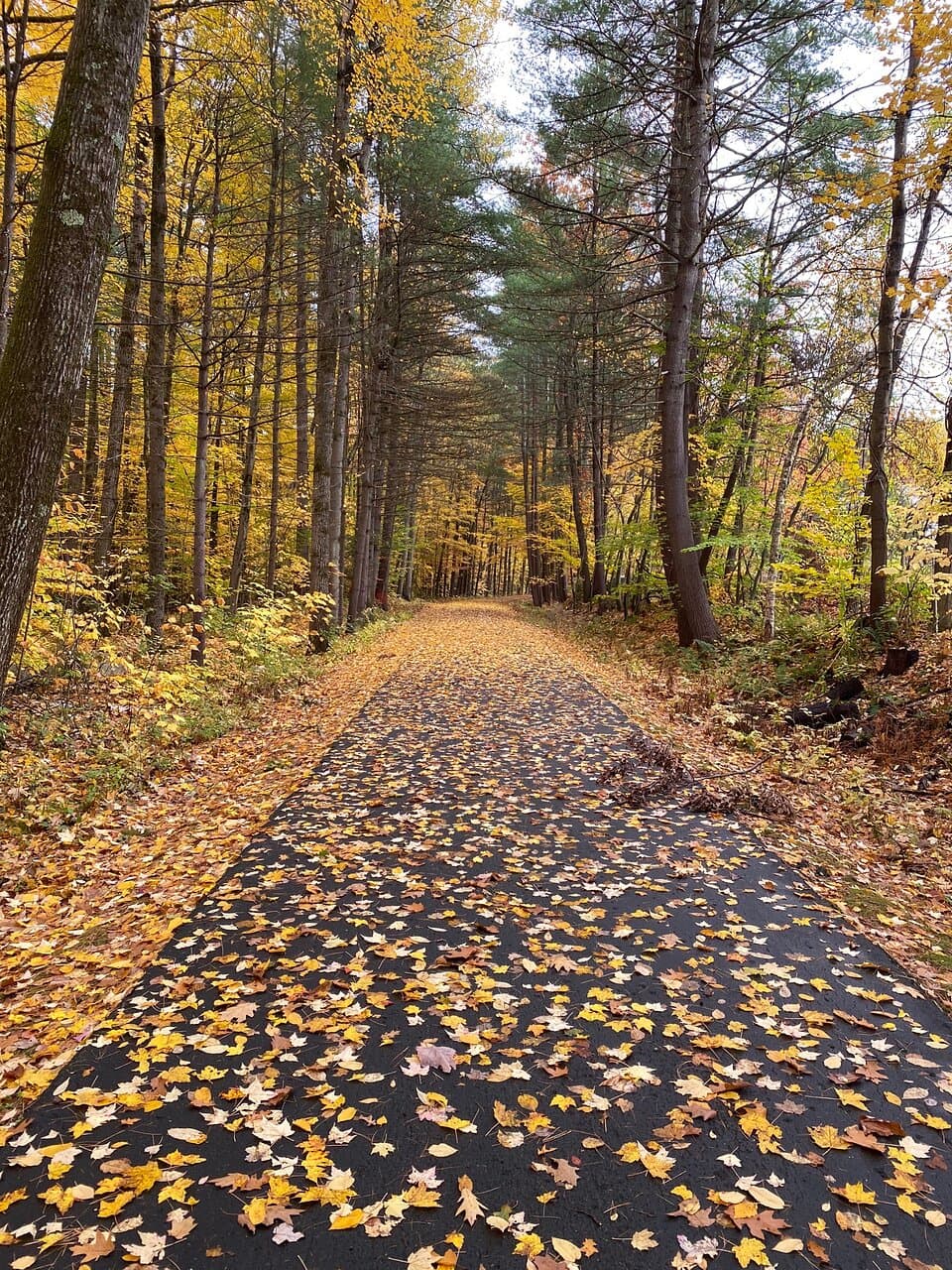 Warren County Bikeway