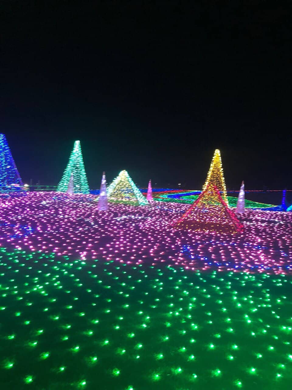 Seasonal Flower Fields