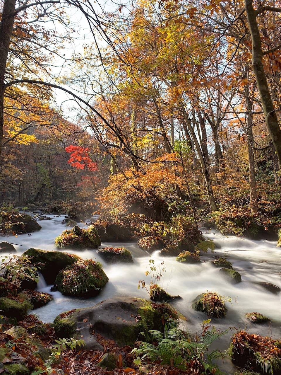 Ishigedo-no-taki Waterfall