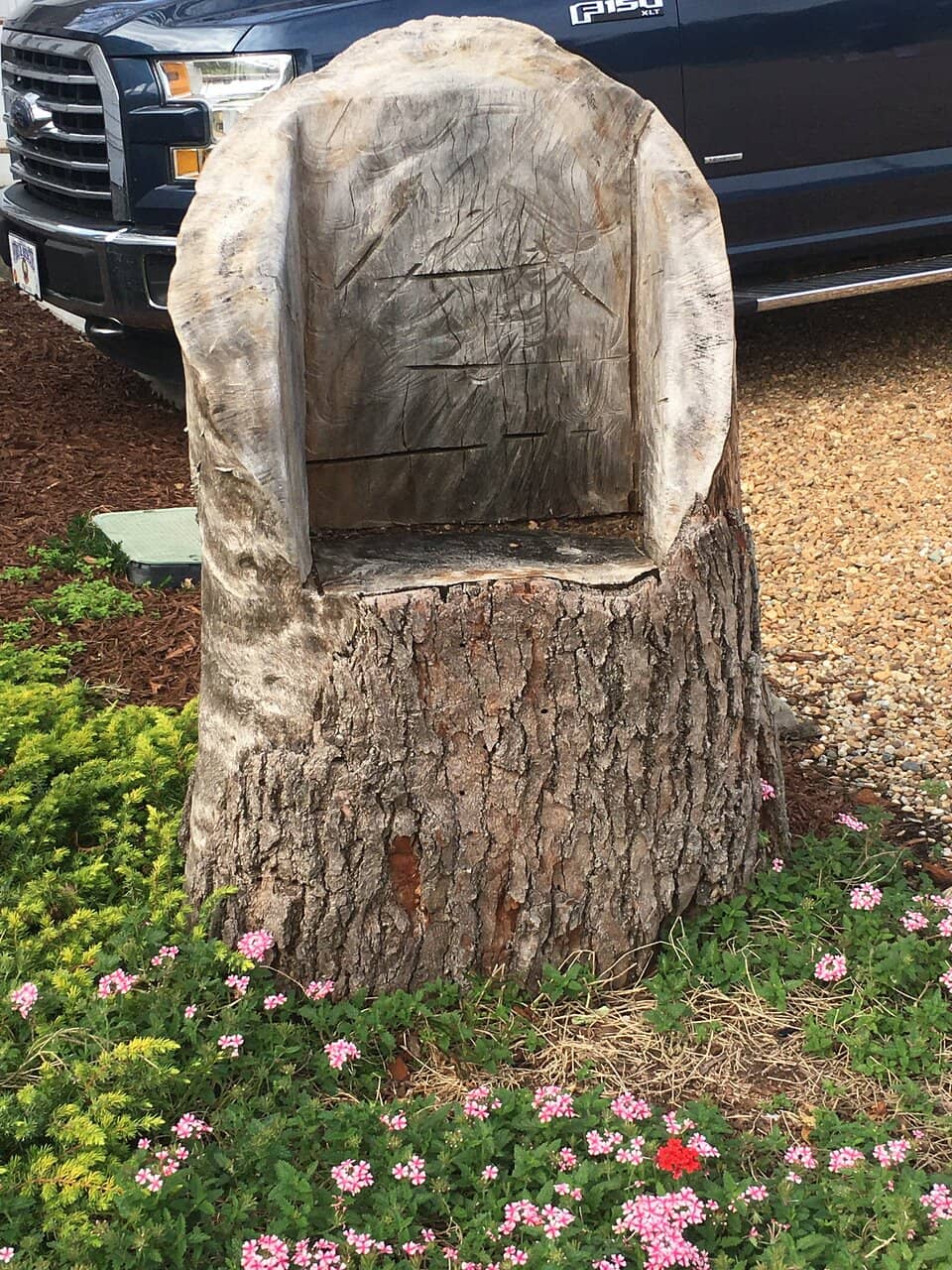 Wild Horses of Corolla