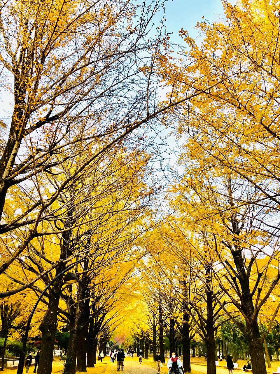 Vertical photo