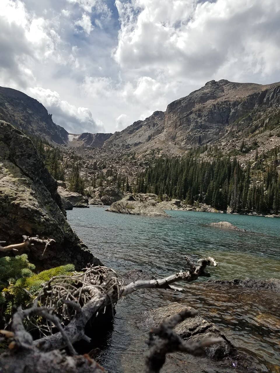 Alberta Falls