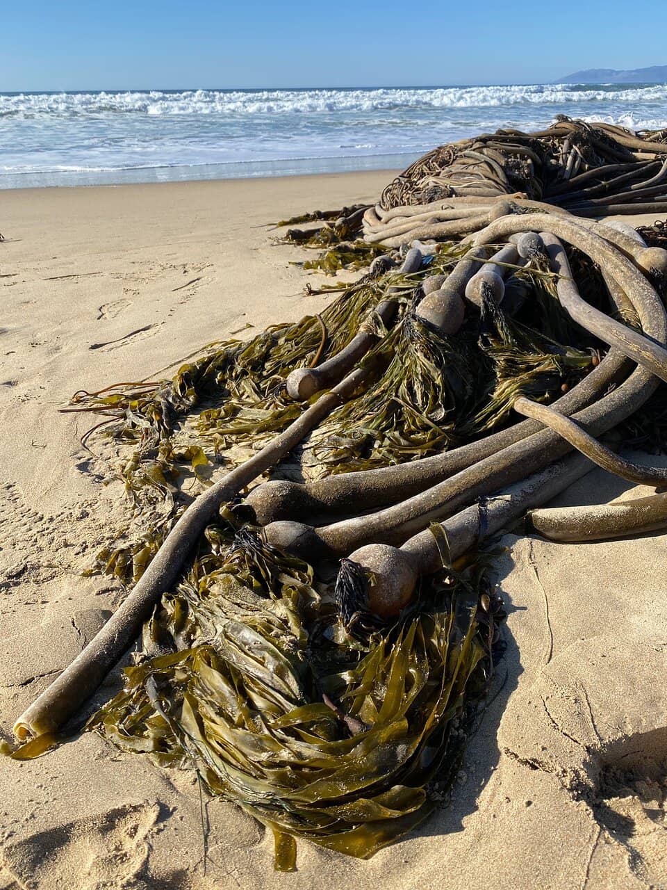 Secluded Beach Access