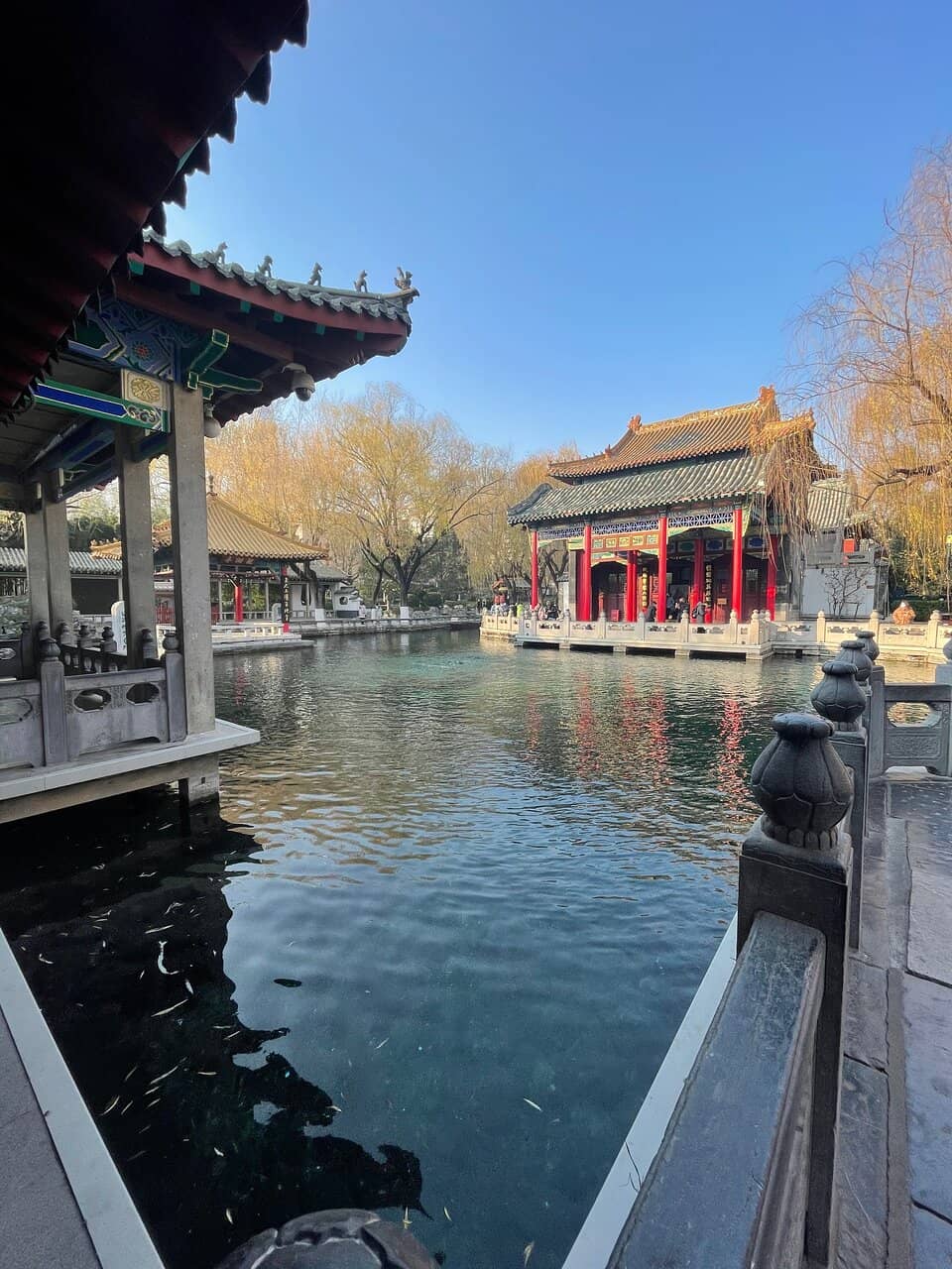 Tranquil Gardens and Pavilions