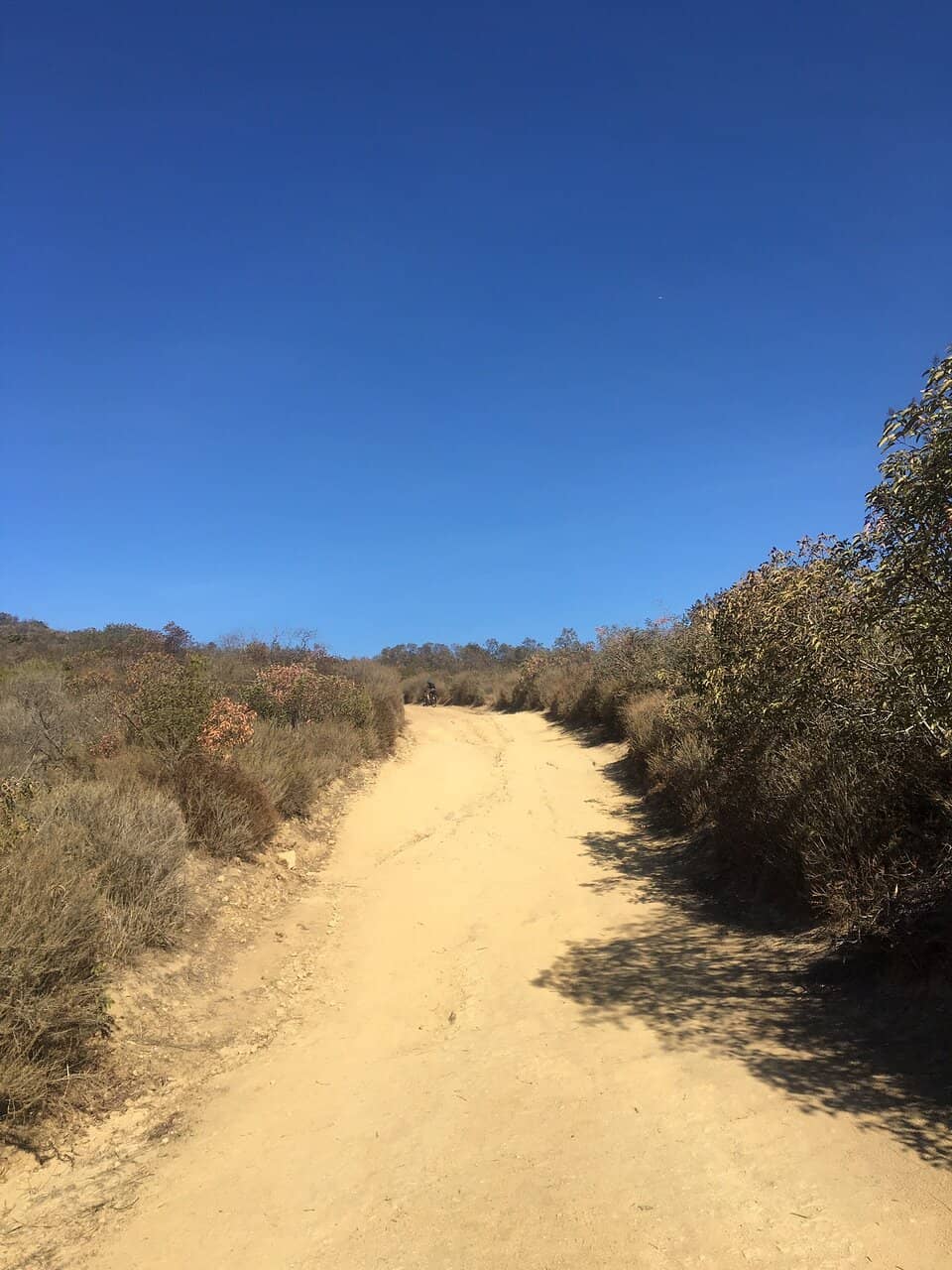 Dartmoor Boat Canyon Trail