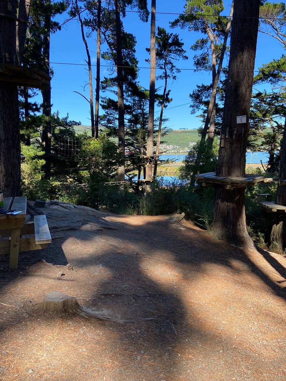 Flying Foxes (Zip Lines)