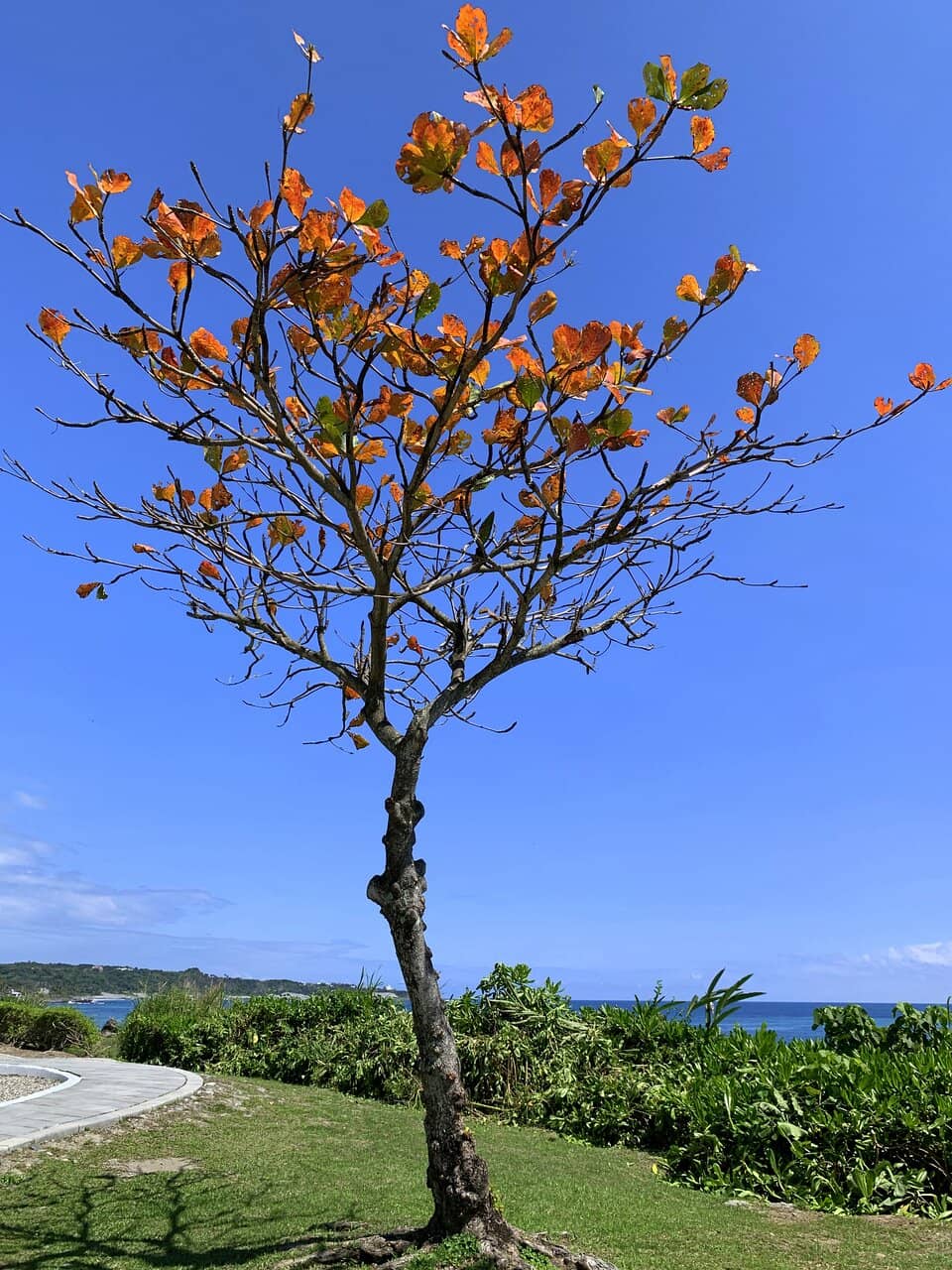 Vertical photo