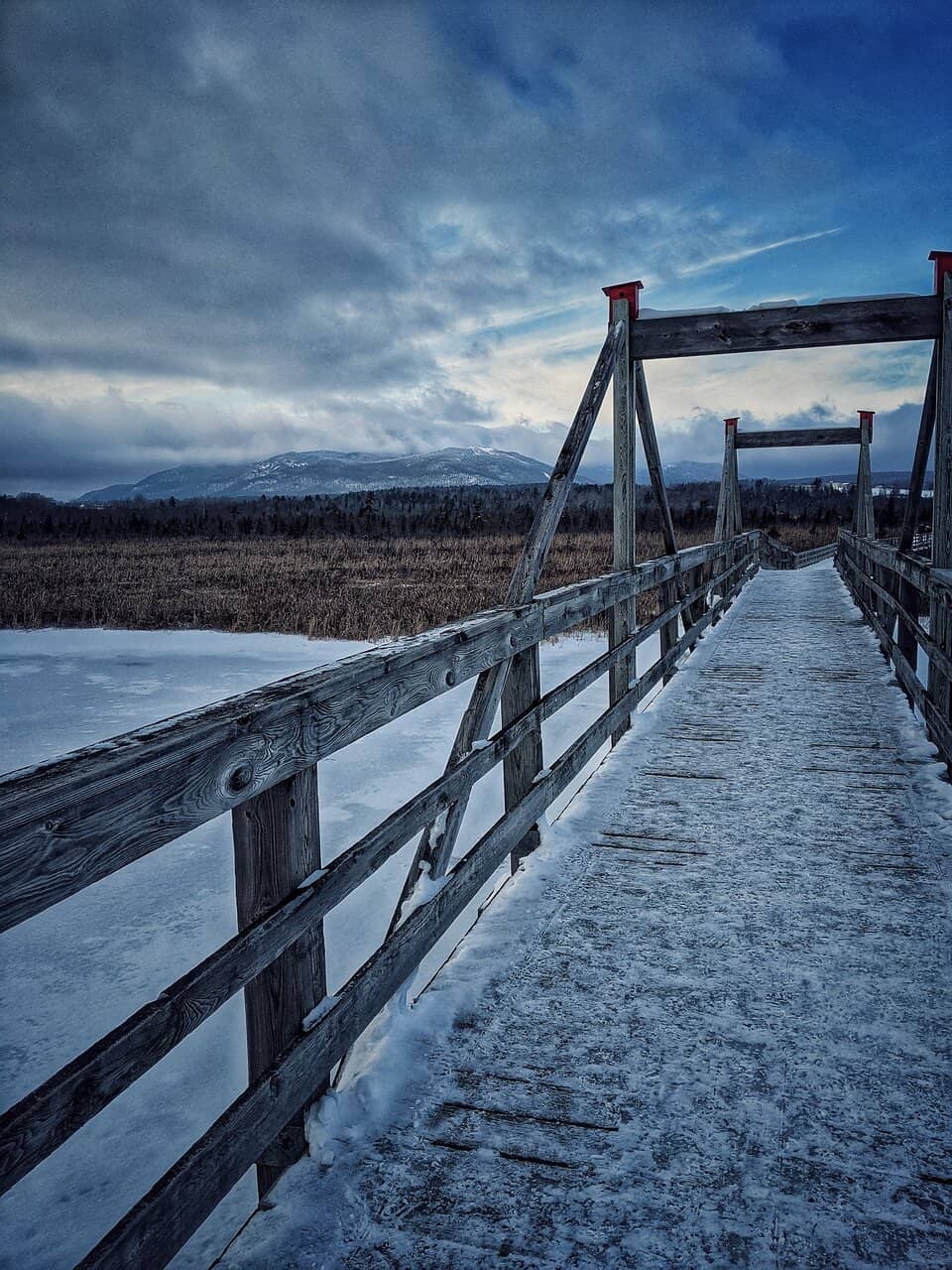 Paddleboarding Adventures