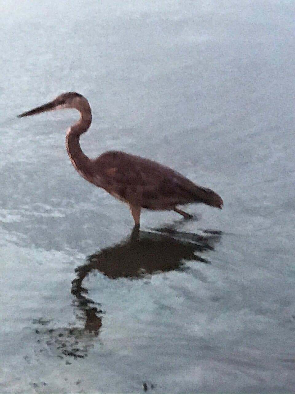 Lake June-in-Winter Scrub State Park