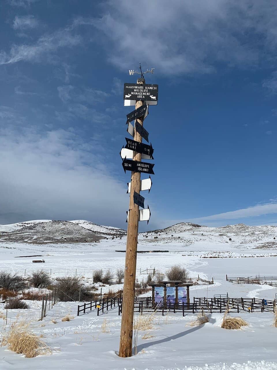 Educational Center Activities