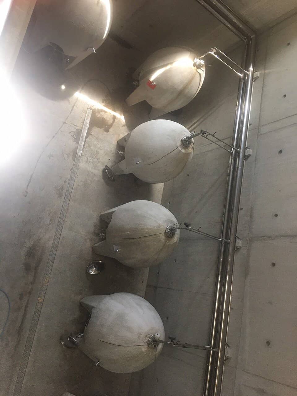 Organic & Biodynamic Wines