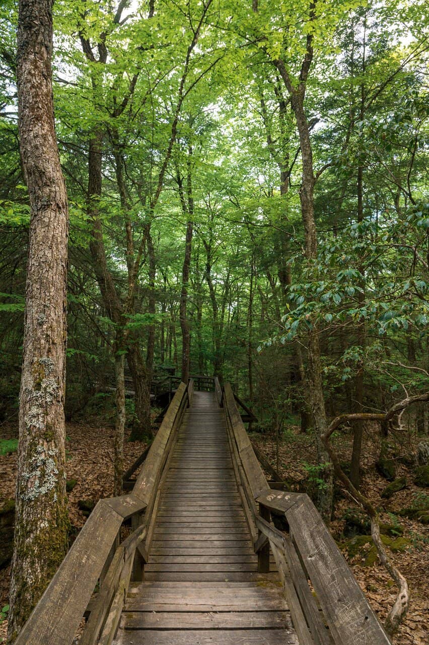 Mysterious Crevasses