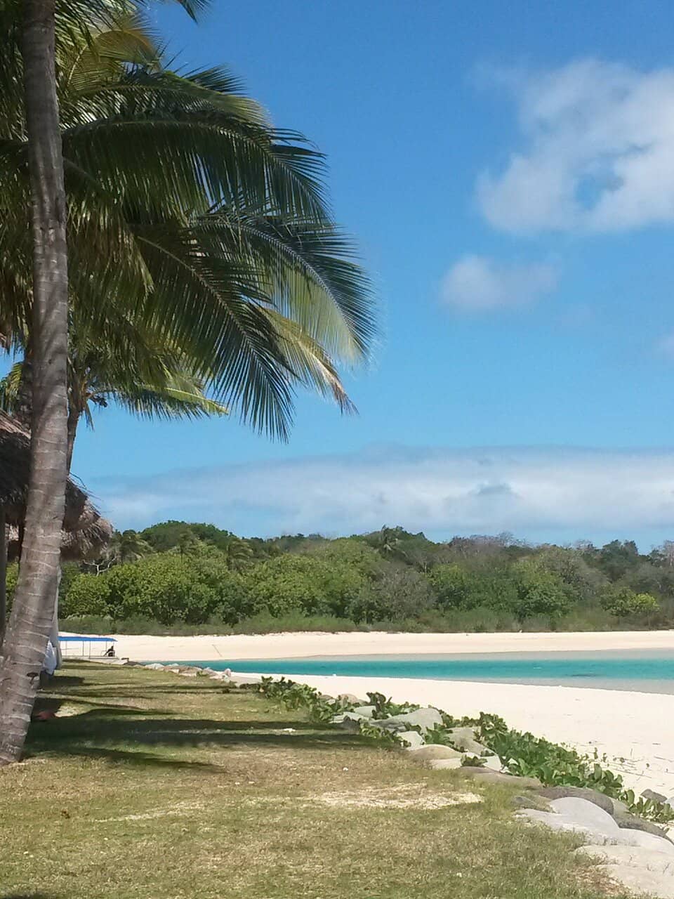 Horseback Riding Adventures