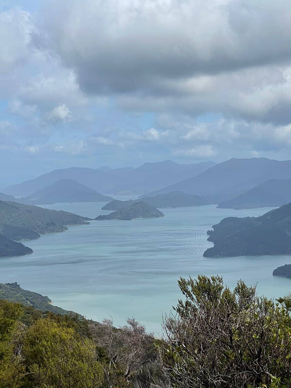 Motuara Island Bird Sanctuary