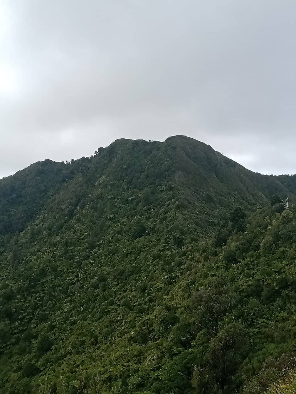 Challenging Ascent