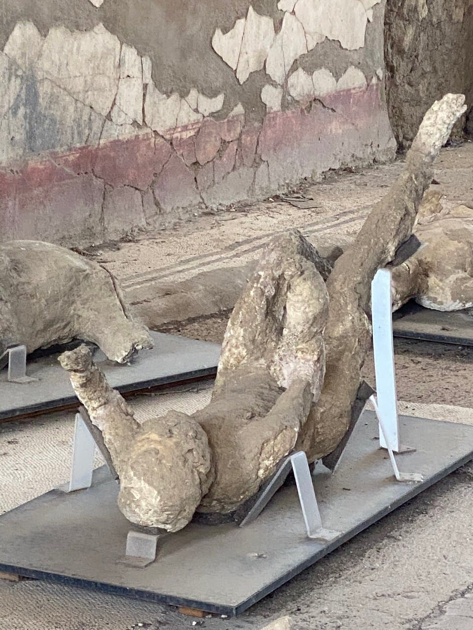 Garden of the Fugitives Pompeii