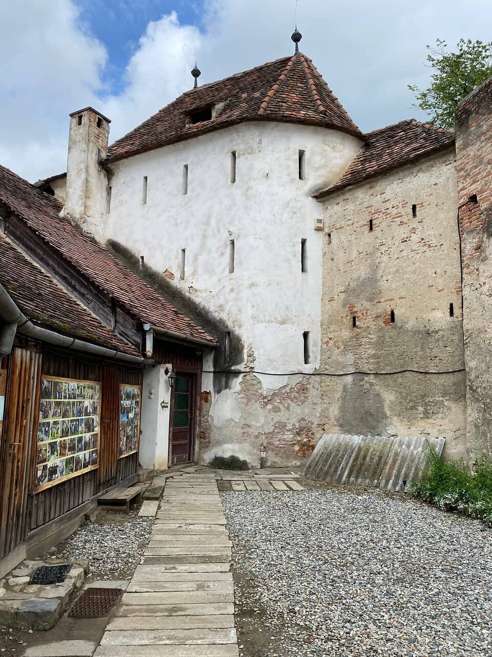 The Tower View