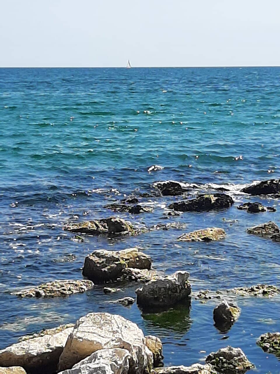 Sfera Grande (The Tomato)