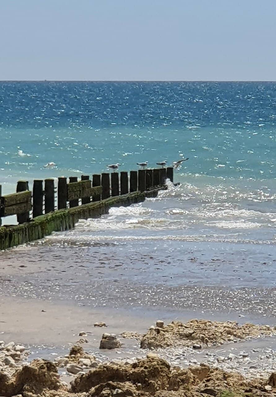 Spit to Manly Walk Start