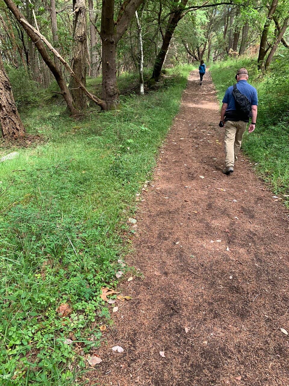Junior Park Ranger Program