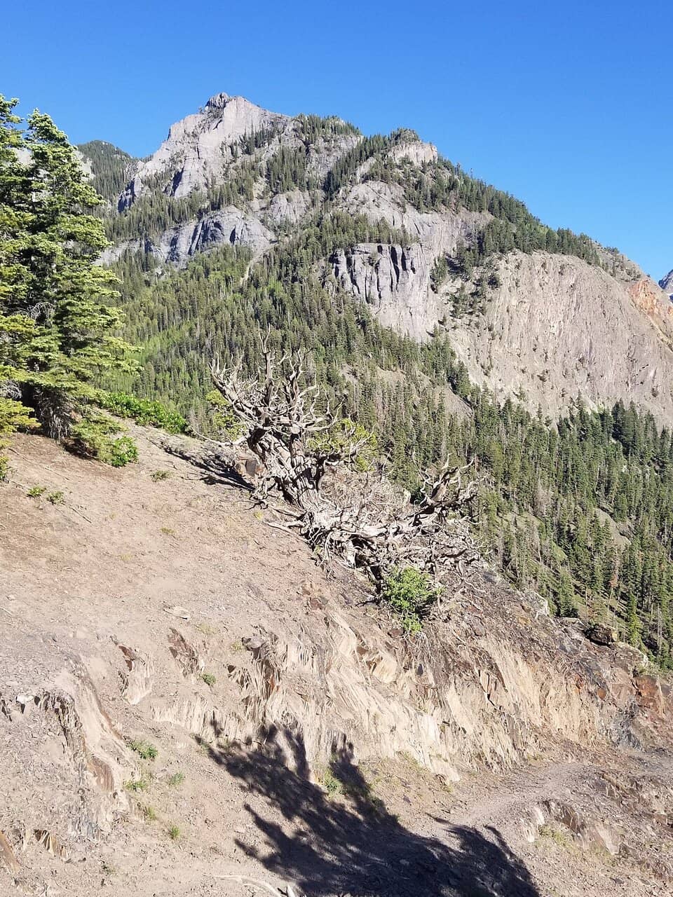 Alpine Lake Views