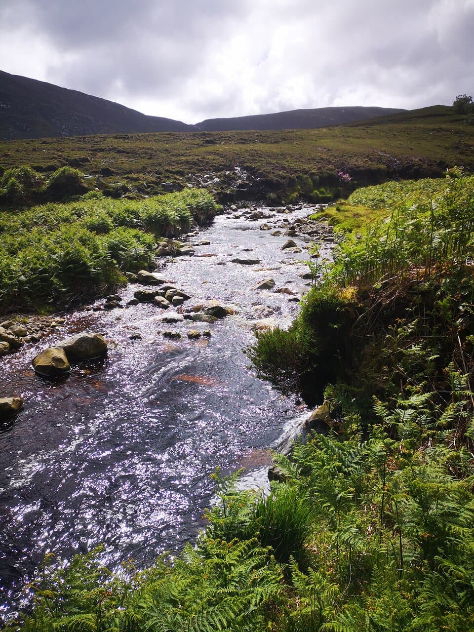 Letterkeen Loop Walks