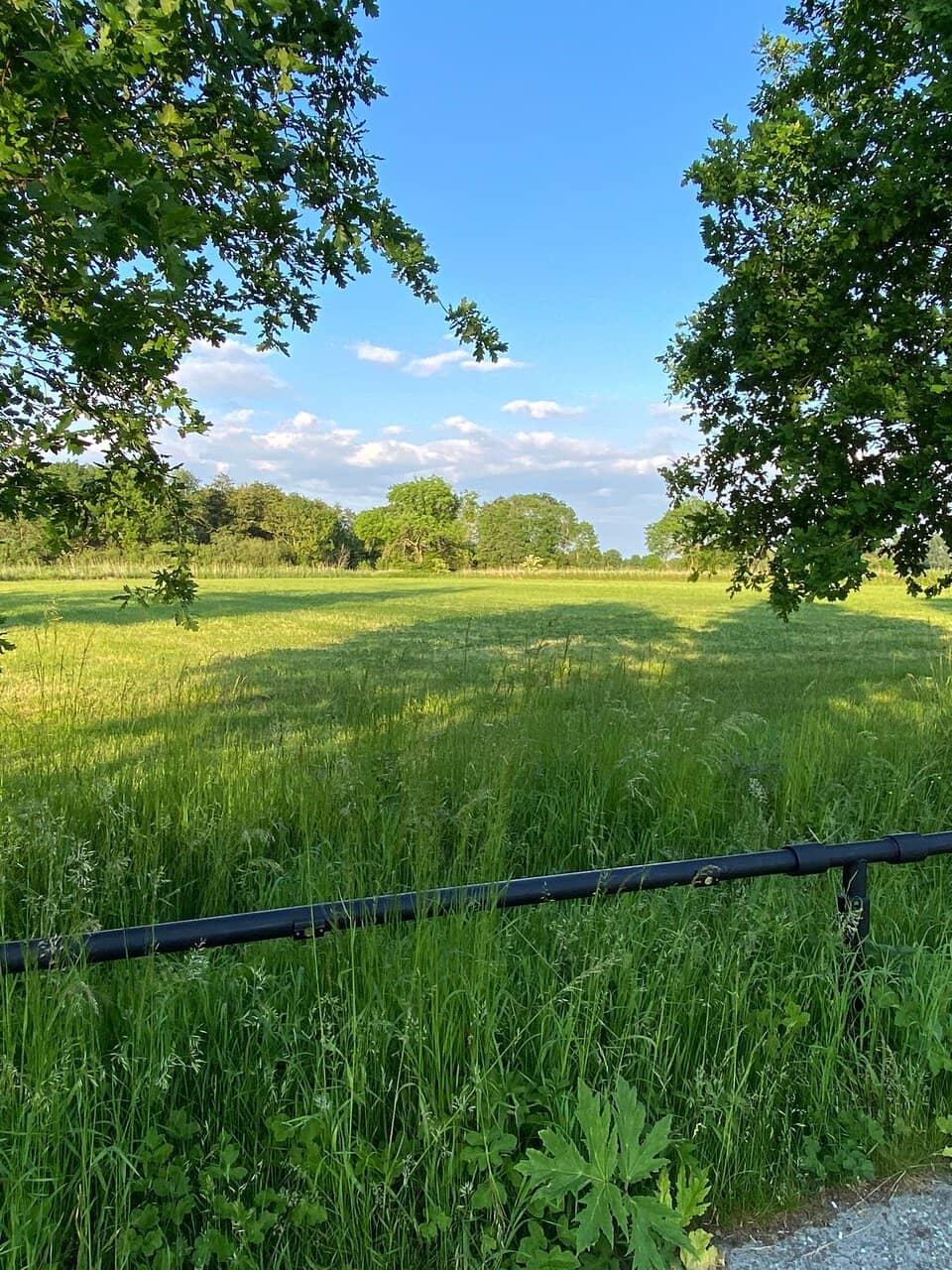 Artistic Inspiration