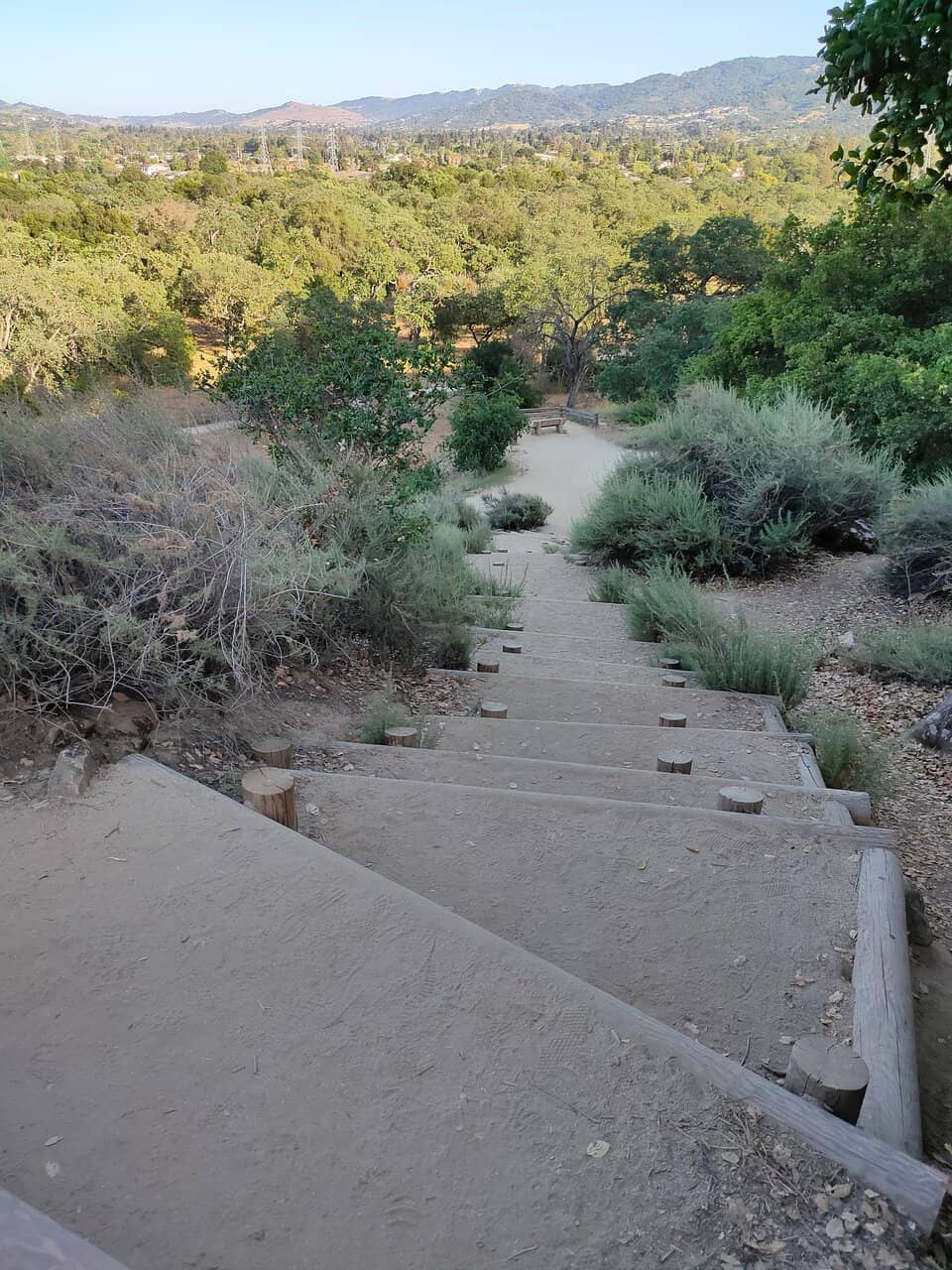 Abandoned Sandstone Quarry