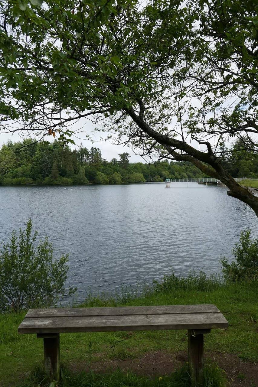 Trenchford Reservoir
