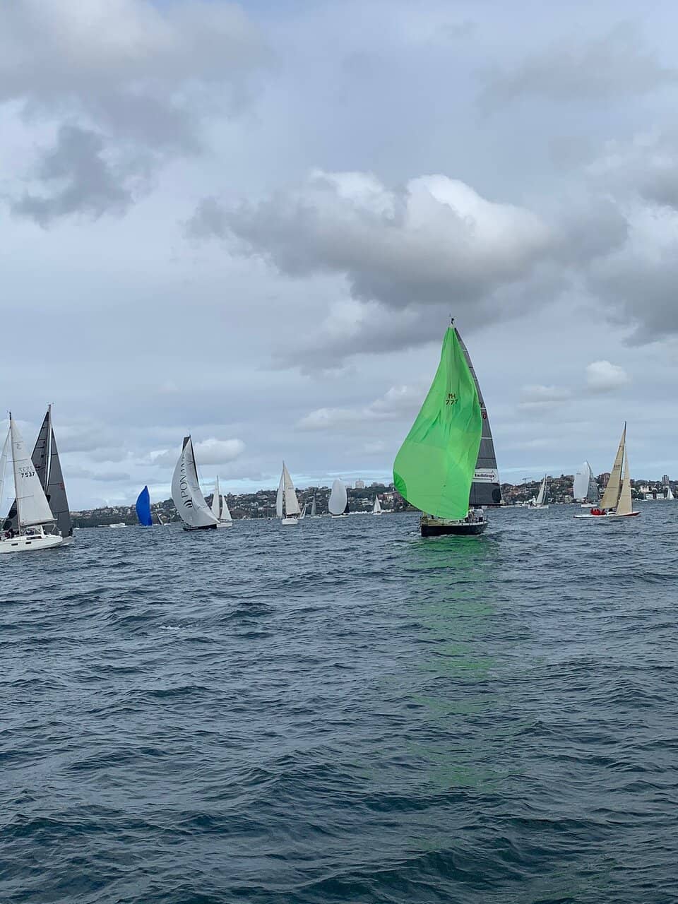 Rushcutters Bay Marina