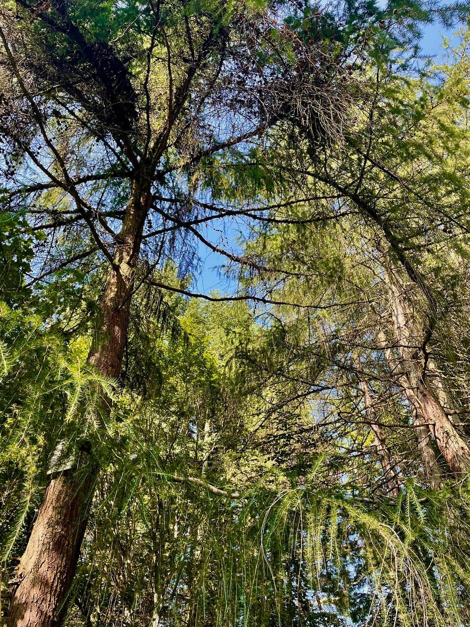 Vertical photo