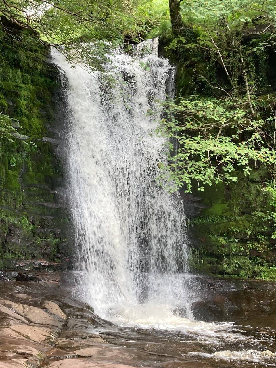 Vertical photo